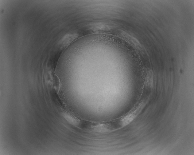 X0000051250430200506171140