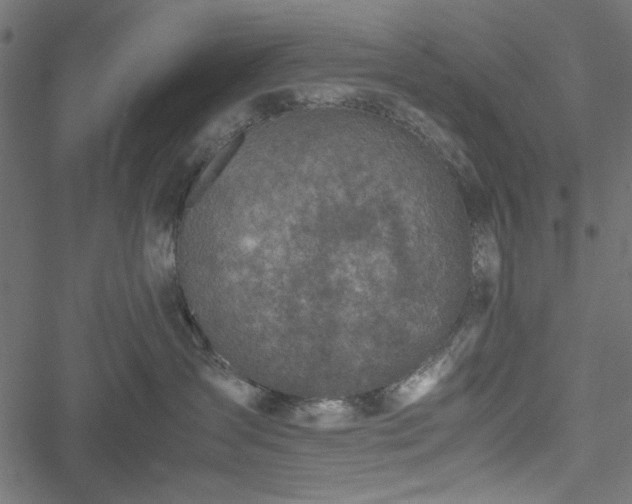 X0000051250431200506171140