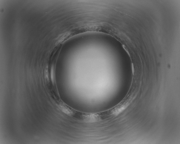 X0000051250432200506171140