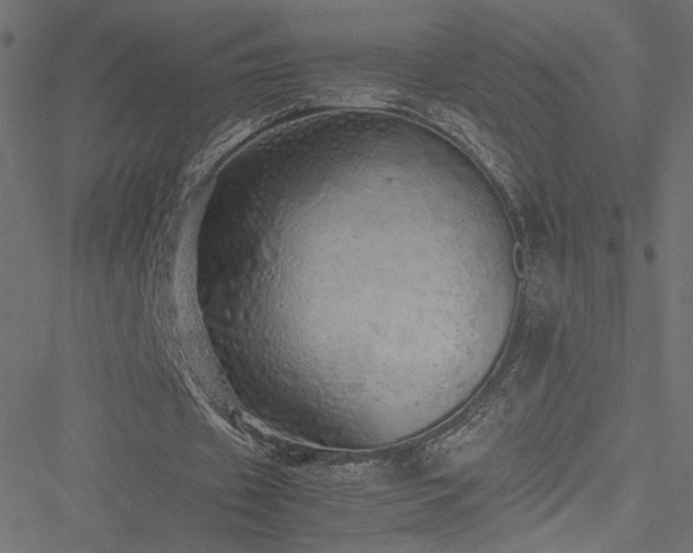 X0000051250433200506171139