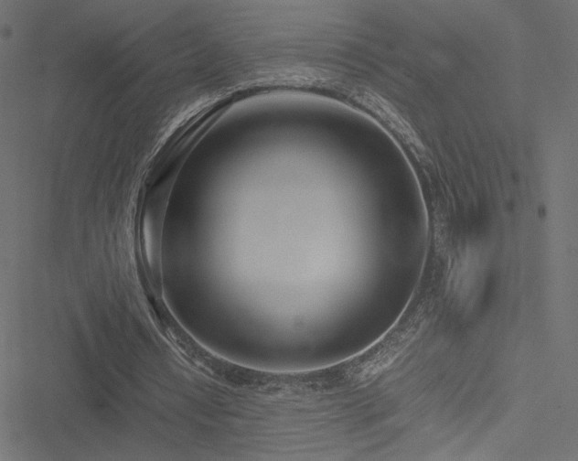 X0000051250434200506171139