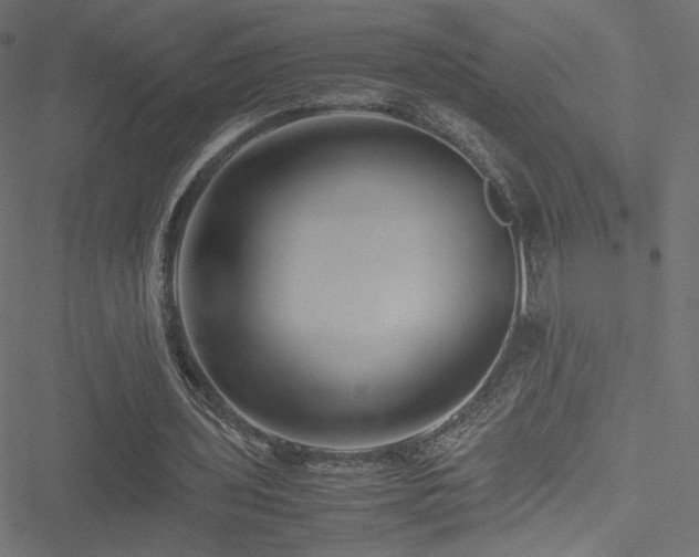 X0000051250435200506171139