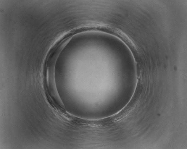 X0000051250436200506171139