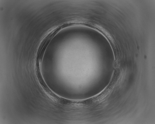 X0000051250437200506171139