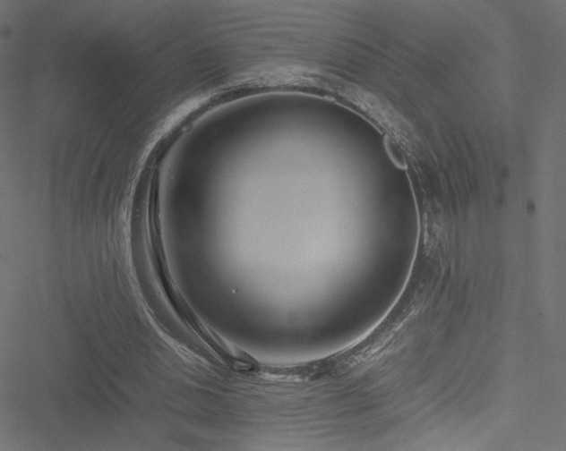 X0000051250438200506171140