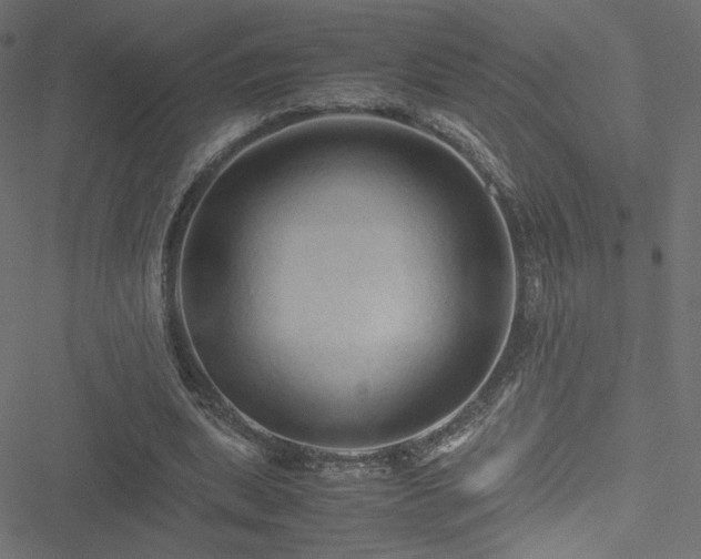 X0000051250439200506171140