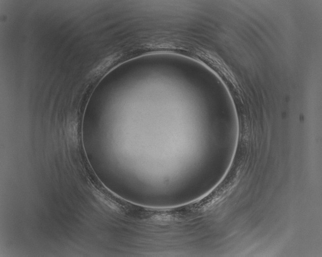 X0000051250441200506171140