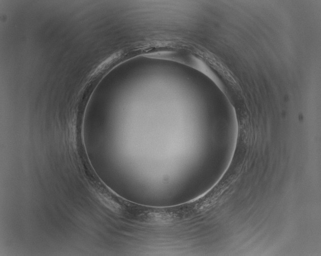 X0000051250442200506171140