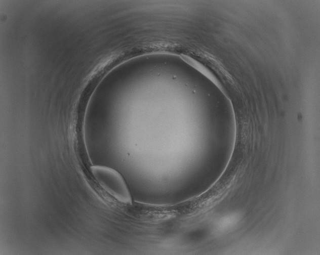 X0000051250443200506171140