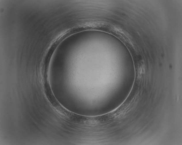 X0000051250444200506171140