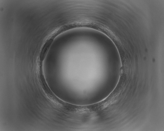 X0000051250446200506171140