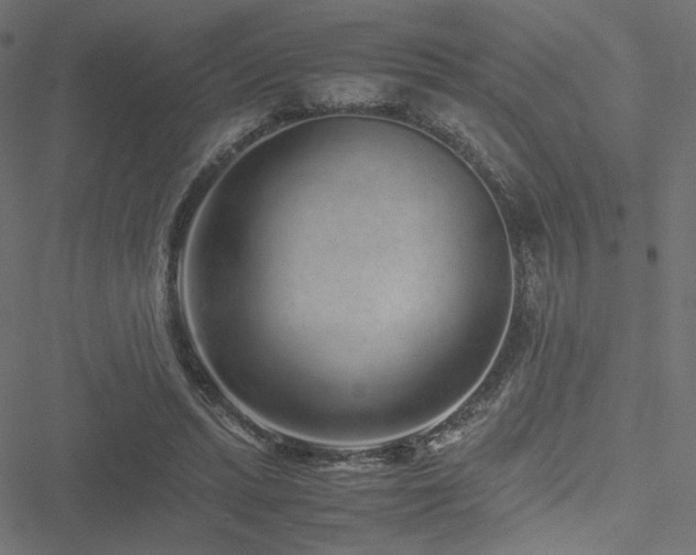 X0000051250447200506171140