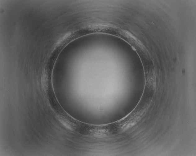 X0000051250448200506171140