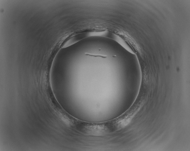 X0000051250449200506171140