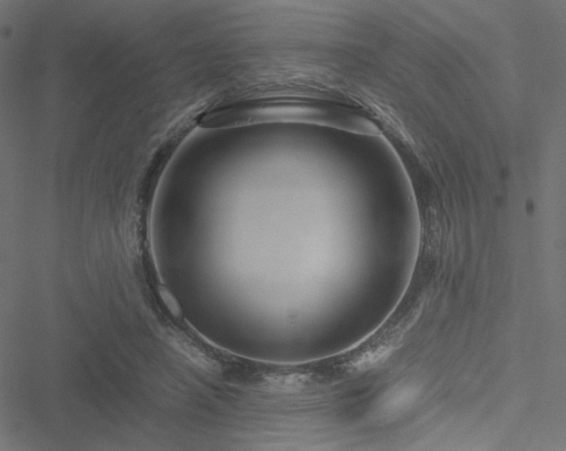 X0000051250450200506171140