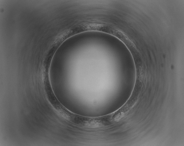 X0000051250451200506171140