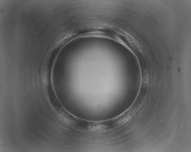 X0000051250452200506171140