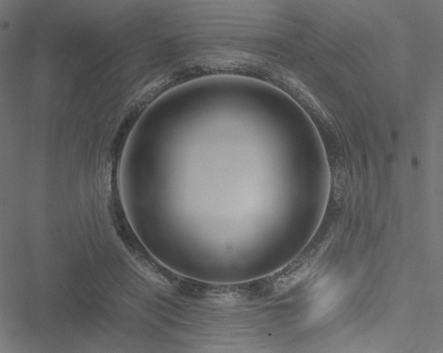 X0000051250454200506171140