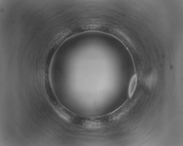 X0000051250455200506171140