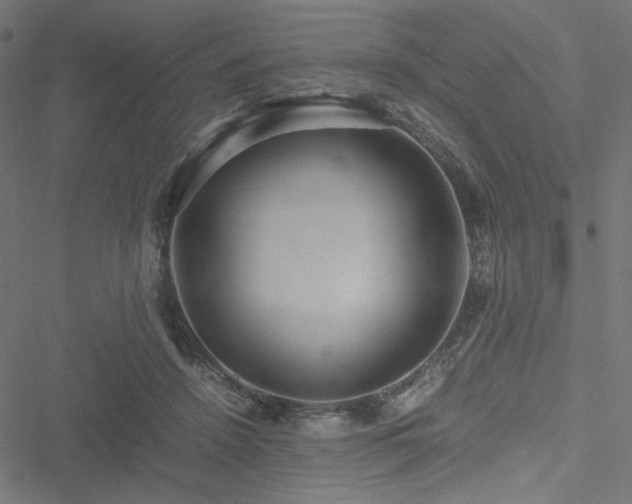 X0000051250456200506171140