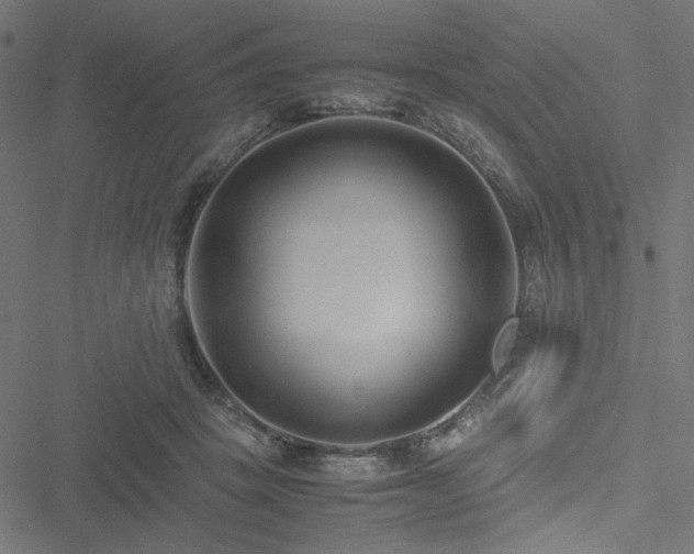 X0000051250457200506171140