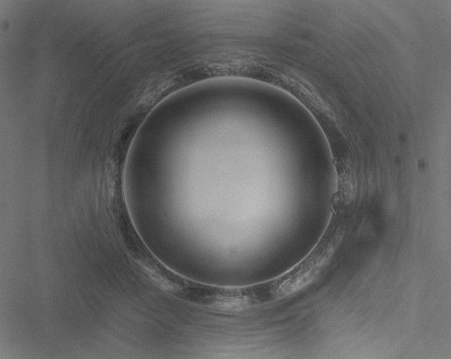 X0000051250458200506171140