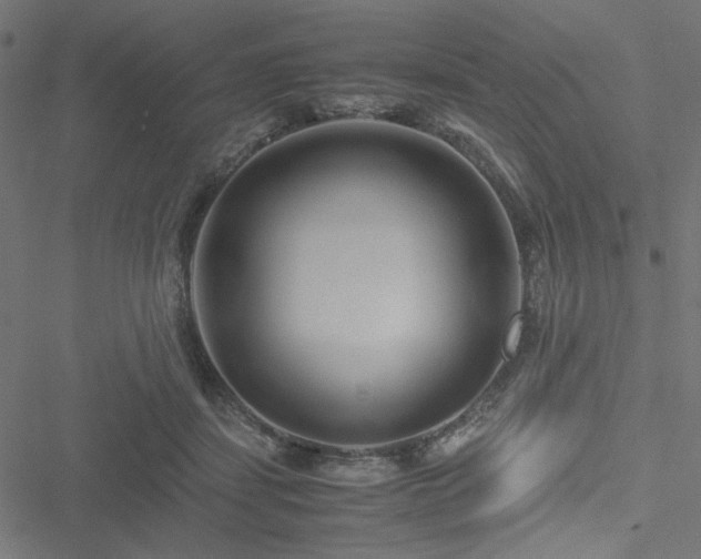 X0000051250459200506171140