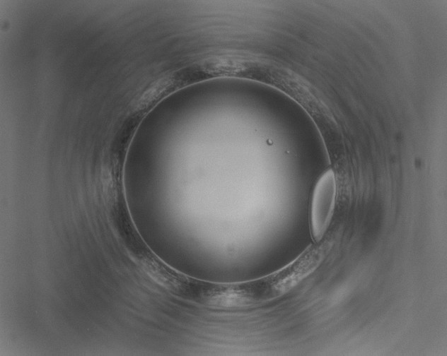 X0000051250460200506171140