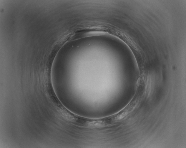 X0000051250461200506171140