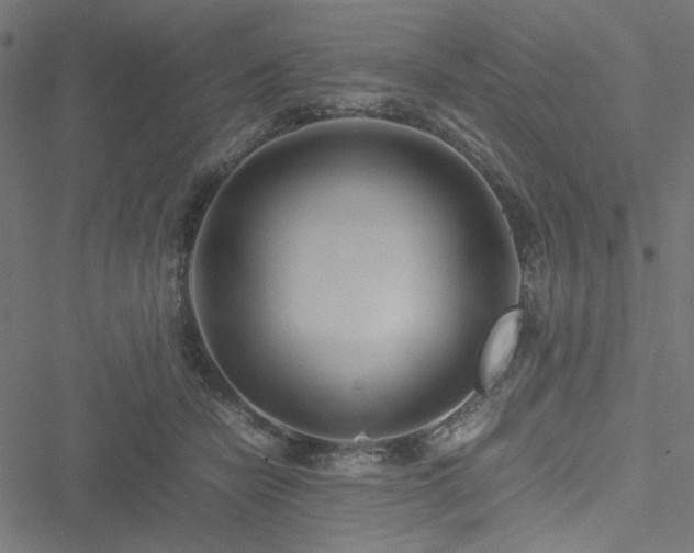 X0000051250462200506171140