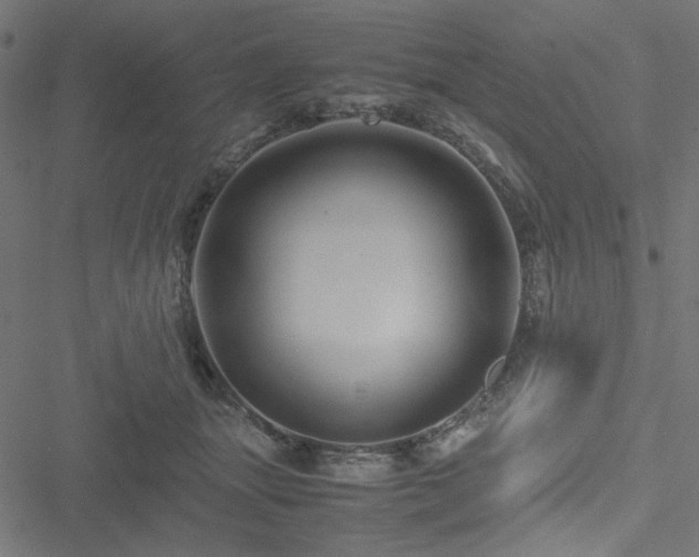 X0000051250463200506171140