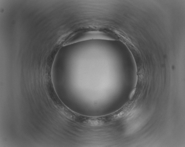 X0000051250464200506171140