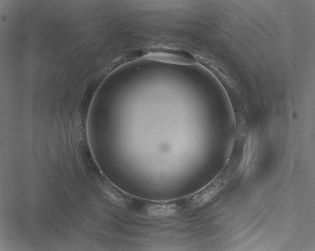 X0000051250465200506171140