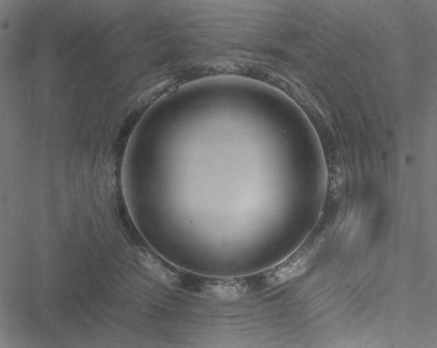 X0000051250466200506171140