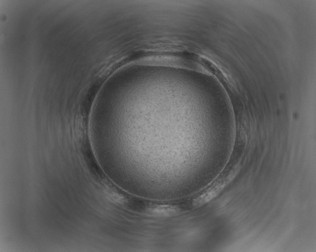 X0000051250467200506171140