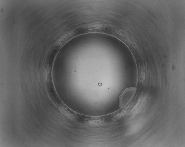 X0000051250468200506171140