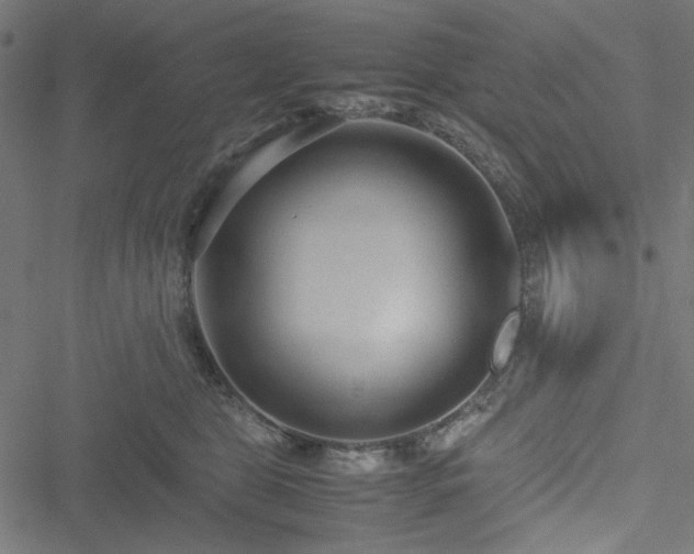 X0000051250469200506171140