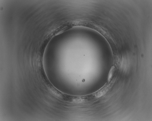 X0000051250470200506171140