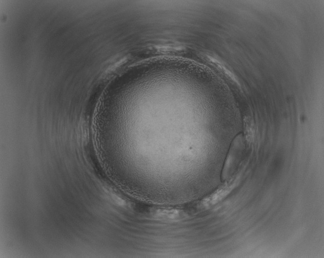 X0000051250471200506171140