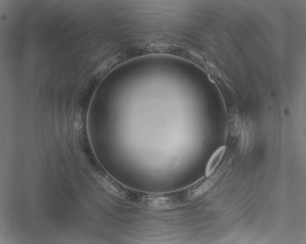 X0000051250472200506171140