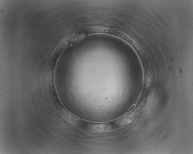 X0000051250473200506171140