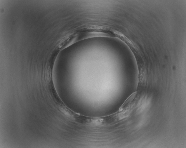 X0000051250474200506171140