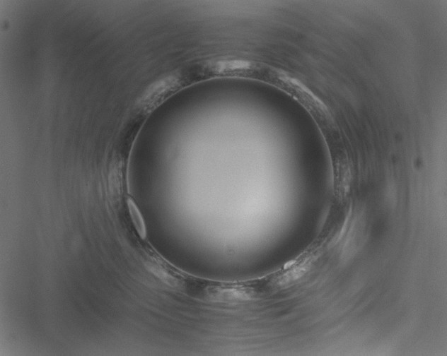 X0000051250475200506171140