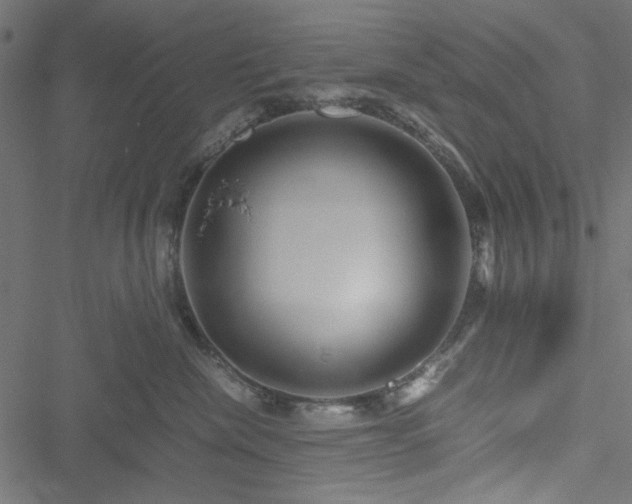 X0000051250476200506171140