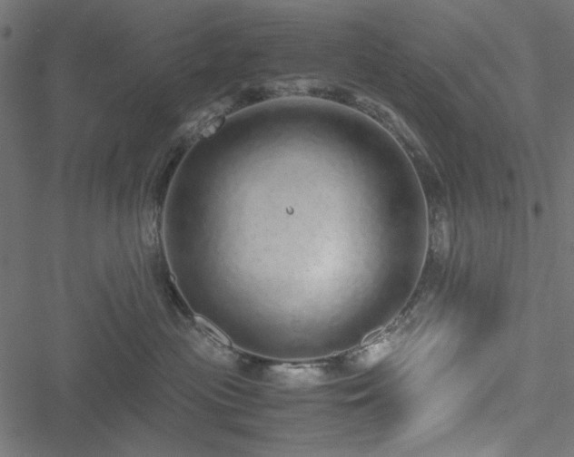 X0000051250477200506171140