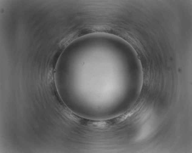 X0000051250478200506171140