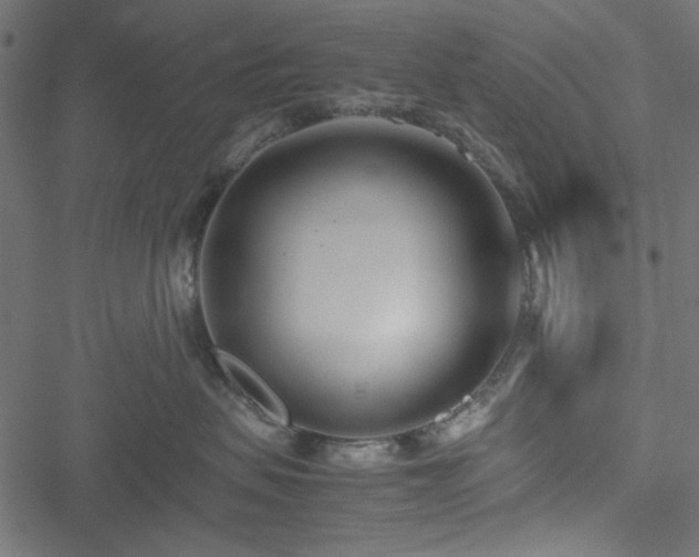 X0000051250479200506171140