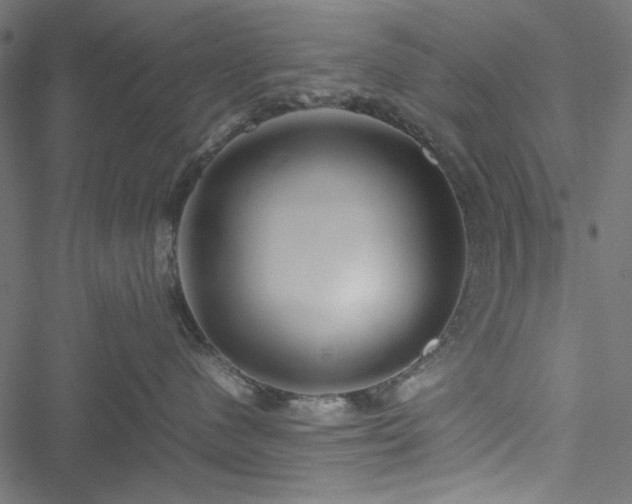 X0000051250480200506171140