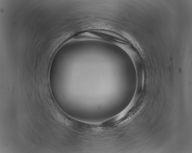 X0000051250481200506171139