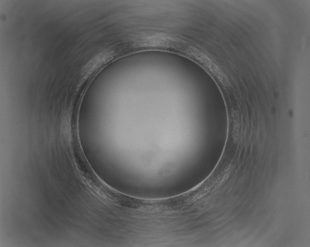 X0000051250482200506171139